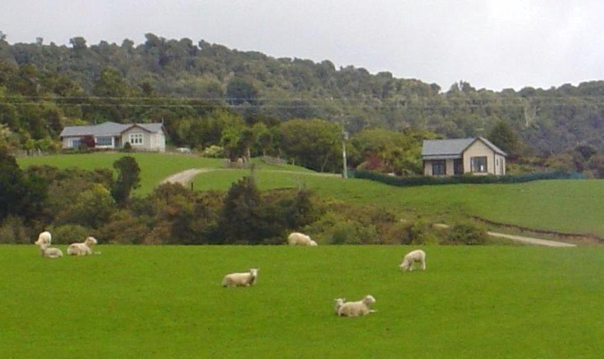 Hilltop Accommodation Catlins Papatowai Eksteriør bilde